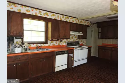 333 Lickskillet Road, Epworth, GA 30541 - Photo 13