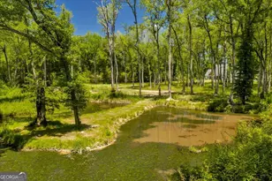 466 Bear Branch Rd, Kathleen, GA 31047 - Photo 95
