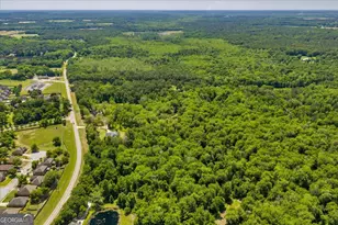 466 Bear Branch Rd, Kathleen, GA 31047 - Photo 125