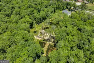 466 Bear Branch Rd, Kathleen, GA 31047 - Photo 115