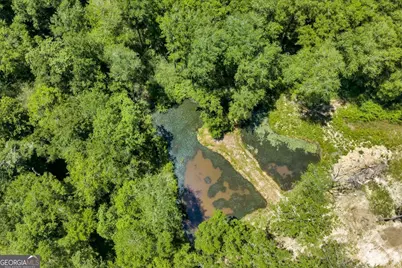 466 Bear Branch Road, Kathleen, GA 31047 - Photo 117