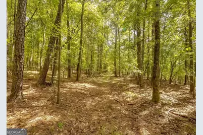 1251 Crumbley Road, McDonough, GA 30252 - Photo 1