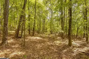 1251 Crumbley Rd, McDonough, GA 30252 - Photo 1