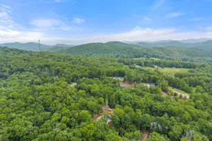 286 Frances Dr, Ellijay, GA 30536 - Photo 65