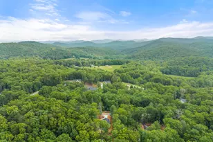 286 Frances Dr, Ellijay, GA 30536 - Photo 63