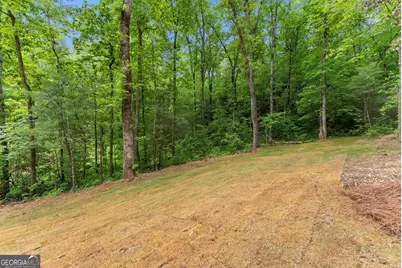 286 Frances Drive, Ellijay, GA 30536 - Photo 49