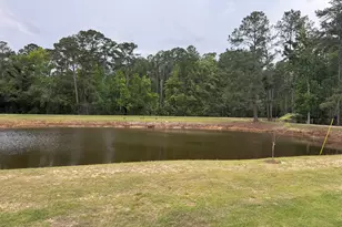 20150 Lake Church Rd, Metter, GA 30439 - Photo 19