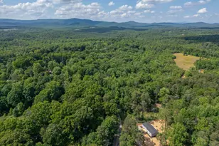 734 Hollywood Church Rd, Clarkesville, GA 30523 - Photo 41