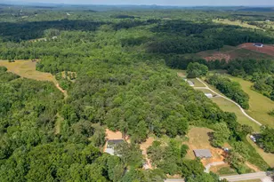 734 Hollywood Church Rd, Clarkesville, GA 30523 - Photo 39