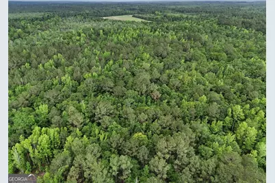 0 Duck Pond Road, Sylvania, GA 30467 - Photo 3