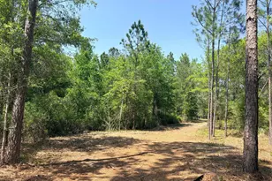 108 Tanglewood Dr, Soperton, GA 30457 - Photo 7