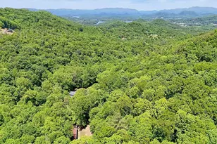 1127 Burch Branch Rd, Hiawassee, GA 30546 - Photo 91
