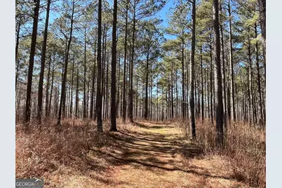 424 Laurel Road, Carrollton, GA 30117 - Photo 13