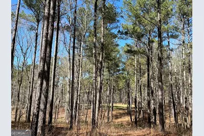 424 Laurel Road, Carrollton, GA 30117 - Photo 17