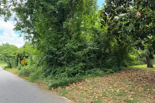 507 W Harris St, Pine Mountain, GA 31822 - Photo 7
