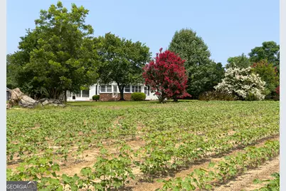 1300 Terry Drive, Stapleton, GA 30823 - Photo 21