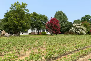 1300 Terry Dr, Stapleton, GA 30823 - Photo 21