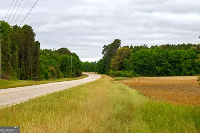 1300 Terry Drive, Stapleton, GA 30823 - Photo 37