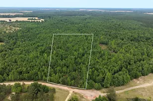 155 Mill Creek Ct, Sylvester, GA 31791 - Photo 1