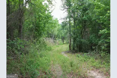 155 Mill Creek Court, Sylvester, GA 31791 - Photo 9