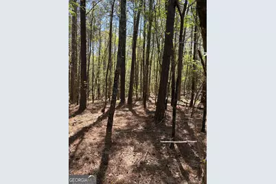 0 Old Union Point Road, Greensboro, GA 30642 - Photo 3