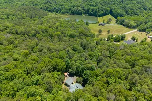 9121 Roy Rd, Ellijay, GA 30536 - Photo 31