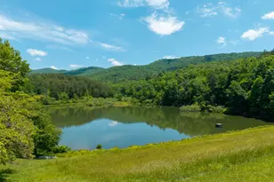 9121 Roy Rd, Ellijay, GA 30536 - Photo 29