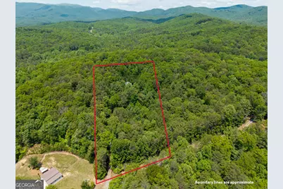 9121 Roy Road, Ellijay, GA 30536 - Photo 3