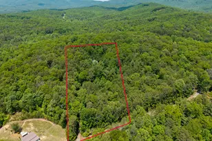 9121 Roy Rd, Ellijay, GA 30536 - Photo 3