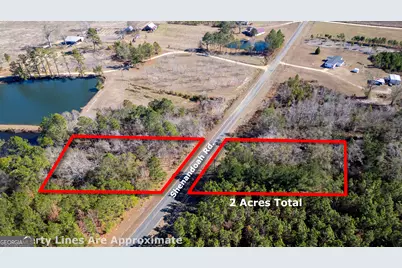 0 Shenandoah Road, Alma, GA 31510 - Photo 3