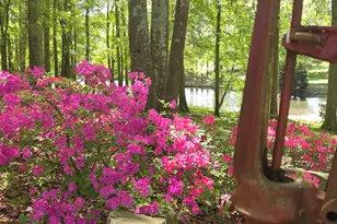 135 Canters Run, Homer, GA 30547 - Photo 111