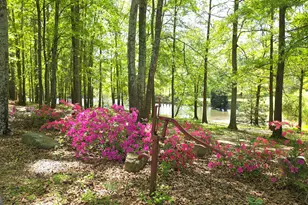 135 Canters Run, Homer, GA 30547 - Photo 113