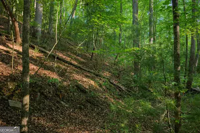 Lot 179 Canoe Point, Ellijay, GA 30540 - Photo 5
