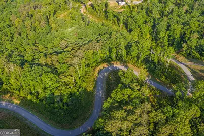 Lot 179 Canoe Point, Ellijay, GA 30540 - Photo 7