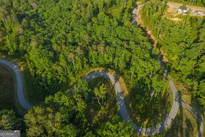 Lot 179 Canoe Point, Ellijay, GA 30540 - Photo 13