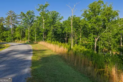 Lot 179 Canoe Point, Ellijay, GA 30540 - Photo 3