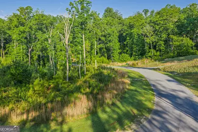 Lot 179 Canoe Point, Ellijay, GA 30540 - Photo 11