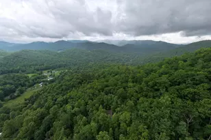 20 Eagle Heights Rd, Hiawassee, GA 30546 - Photo 3