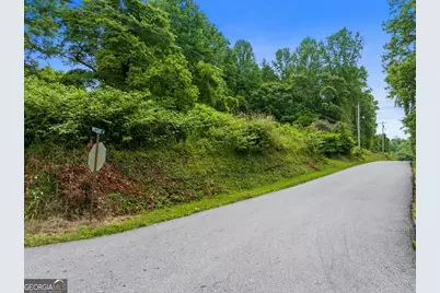 3.23 Acres Kingtown Street, McCaysville, GA 30555 - Photo 11