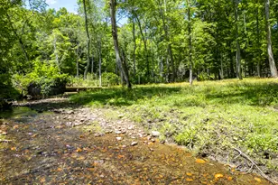 1064 Pinedale Ln, Andrews, NC 28901 - Photo 53