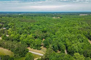 1064 Martin Griffeth Rd, Hull, GA 30646 - Photo 29