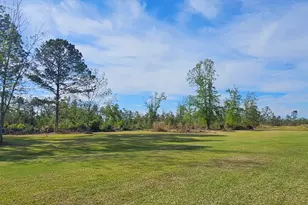 13637 Hwy 23, Glennville, GA 30427 - Photo 3