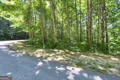 Lot 136 St Andrews Way, Ellijay, GA 30536 - Photo 19