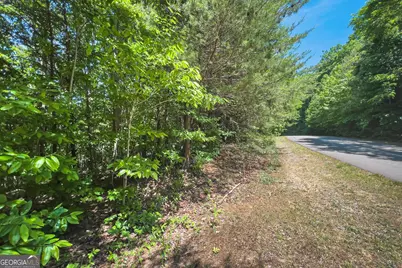 Lot 136 St Andrews Way, Ellijay, GA 30536 - Photo 25