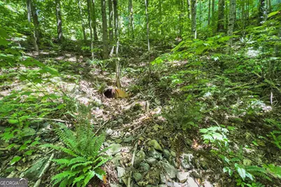 Lot 136 St Andrews Way, Ellijay, GA 30536 - Photo 31