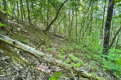Lot 136 St Andrews Way, Ellijay, GA 30536 - Photo 37