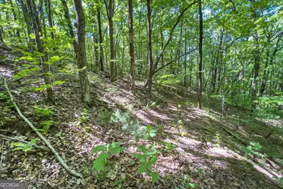 Lot 136 St Andrews Way, Ellijay, GA 30536 - Photo 35
