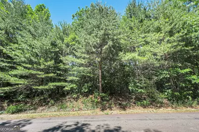 Lot 136 St Andrews Way, Ellijay, GA 30536 - Photo 13