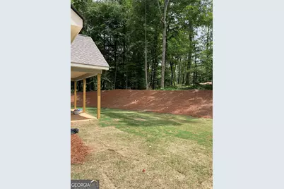 115 Drues Road, Bowdon, GA 30108 - Photo 3