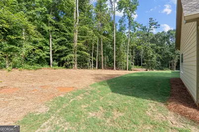 1794 N 100 Highway, Bowdon, GA 30108 - Photo 37